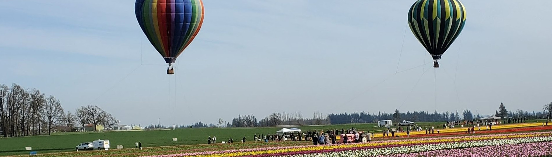 Living in Woodburn Oregon EVERYTHING You Need to Know